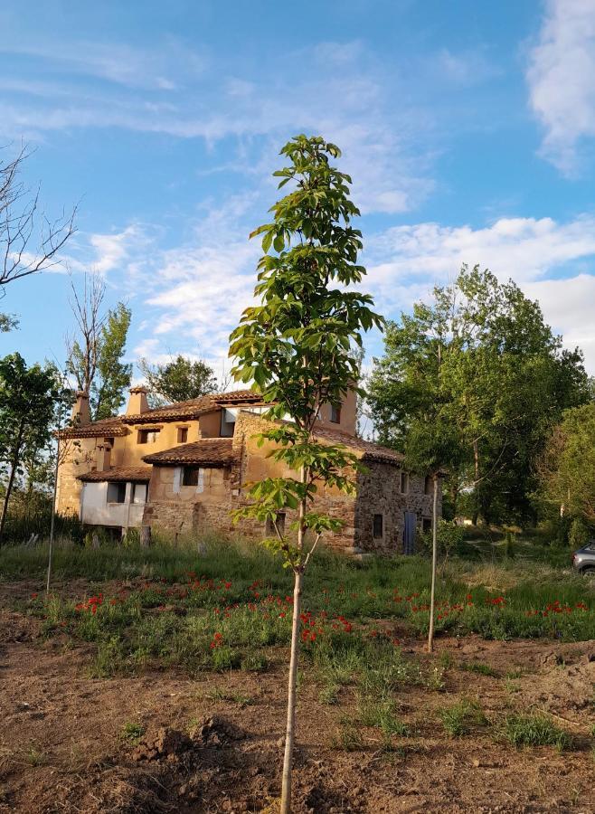 בית הארחה Torre la Cárcel 	Molino Del Buho מראה חיצוני תמונה